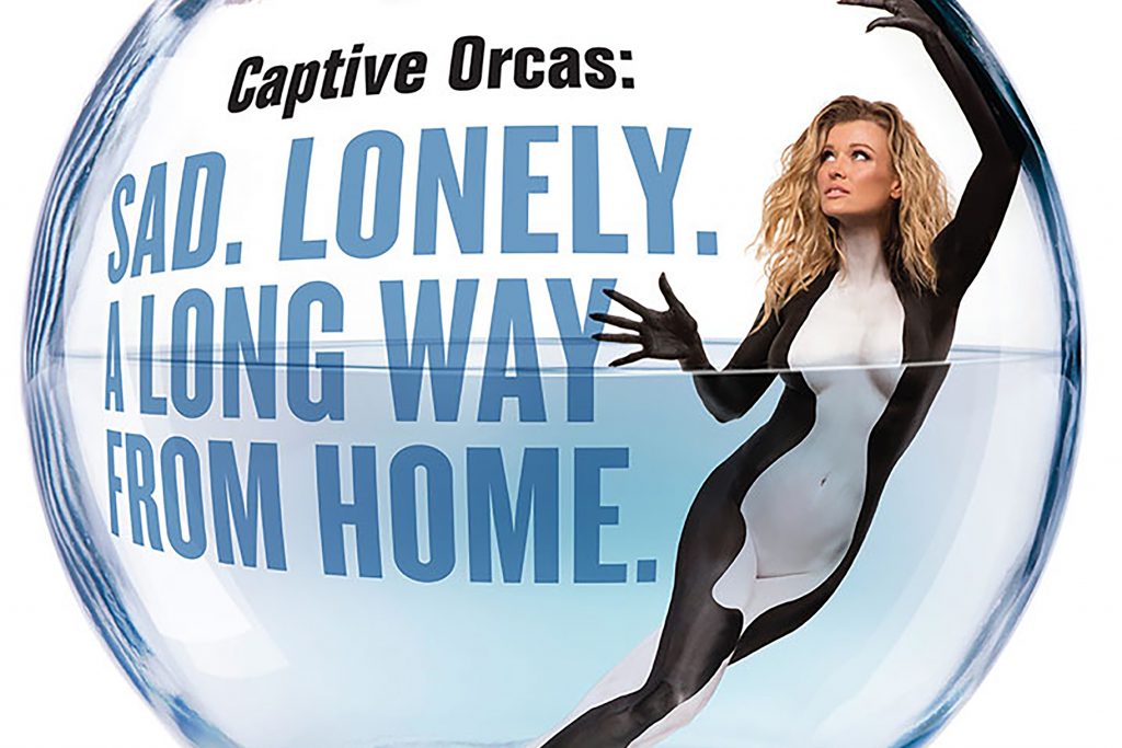 Joanna Krupa PETA Poster Protesting SeaWorld